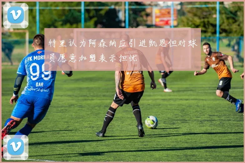 特里认为阿森纳应引进凯恩但对球员愿意加盟表示担忧